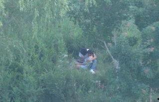 国产树林野战在线播放,热血激战，在线热血沸腾