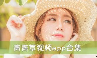 青青草免费国产,国产影视的崛起与魅力展现